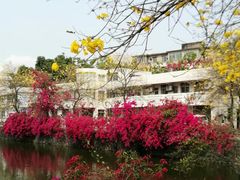 -东山湖公园