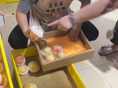 -老袁家蜜桃农场·阳山水蜜桃