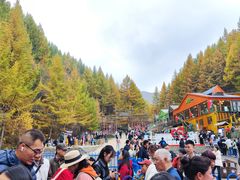-苏木山森林公园