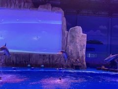 -华夏文旅海洋公园