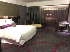-南京禄口机场雅高铂尔曼大酒店