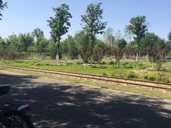 -永定河休闲森林公园