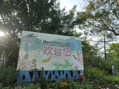 -福田红树林生态公园
