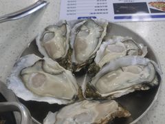 -冯姐生蚝(长隆横琴店)