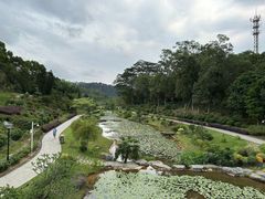 -东莞植物园