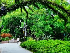 -西湖公园(鼓楼区)