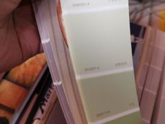 -立邦(三奇环渤海店)