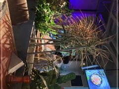 -West10 西拾·西餐厅·创意菜(未来科技城店)