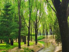 -森林公园(尖草坪区)