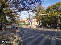 -八大关景区