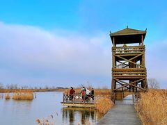 -盐城丹顶鹤湿地生态旅游区