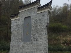 -桑洲油菜花景区