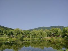 -习家池