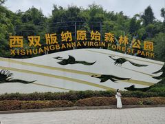 -西双版纳原始森林公园