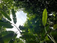 -中国科学院西双版纳热带植物园