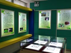 -上海昆虫博物馆