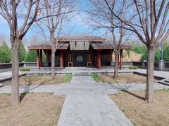 -东郊湿地公园