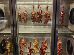 -鸽子侯·家宴·平价海鲜(绿地店)
