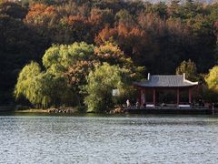-紫霞湖公园