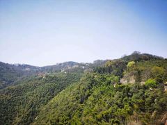 -莫干山风景区
