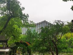 -上海醉白池公园
