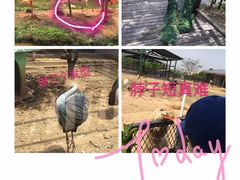 -无锡动物园·太湖欢乐园