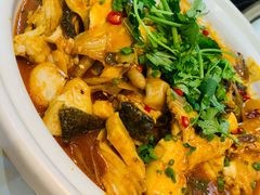 -魏铭鱼头捞饭(晋阳路店)