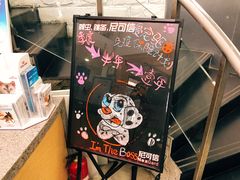 -爱侣宠医·鹦鹉专科·小型哺乳类·异宠专科(灵石路店)