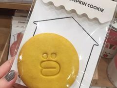 -line friends(明洞旗舰店)