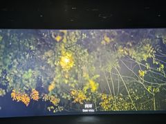 -深影国际影城(学院南路店CGS中国巨幕店)