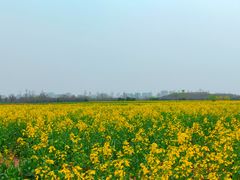 -汉长安城未央宫国家考古遗址公园