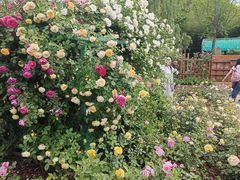 -祥源·阜阳生态乐园