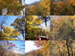 -北京上方山国家森林公园