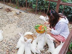-西昌邛海湾柏樾酒店(原邛海湾柏栎度假酒店)