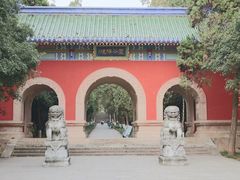 -灵谷景区