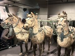 -秦始皇帝陵博物院-丽山园