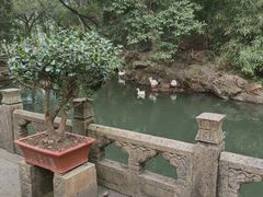 -兰亭风景区