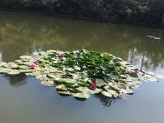 -前关湿地公园
