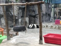 -栾川竹海野生动物园