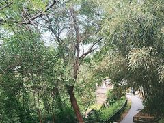 -第一山景区