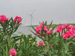 -启东黄金海滩景区