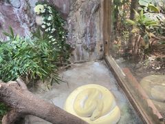 -上海大自然野生昆虫馆