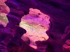 -水木谷养生水汇