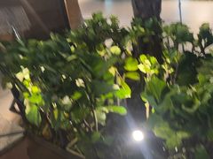 -木屋烧烤(惠阳华润小径湾店)