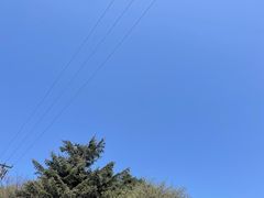 -秦岭风景区