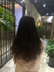 点击看大图 -小左沙龙