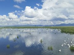 -花湖生态旅游区