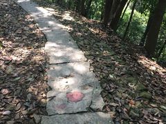 -西湖风景区十里琅珰-五云山