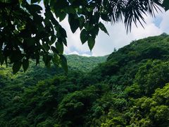 -白云源风景区