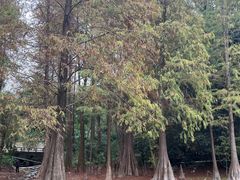 -广州市白云山风景名胜区